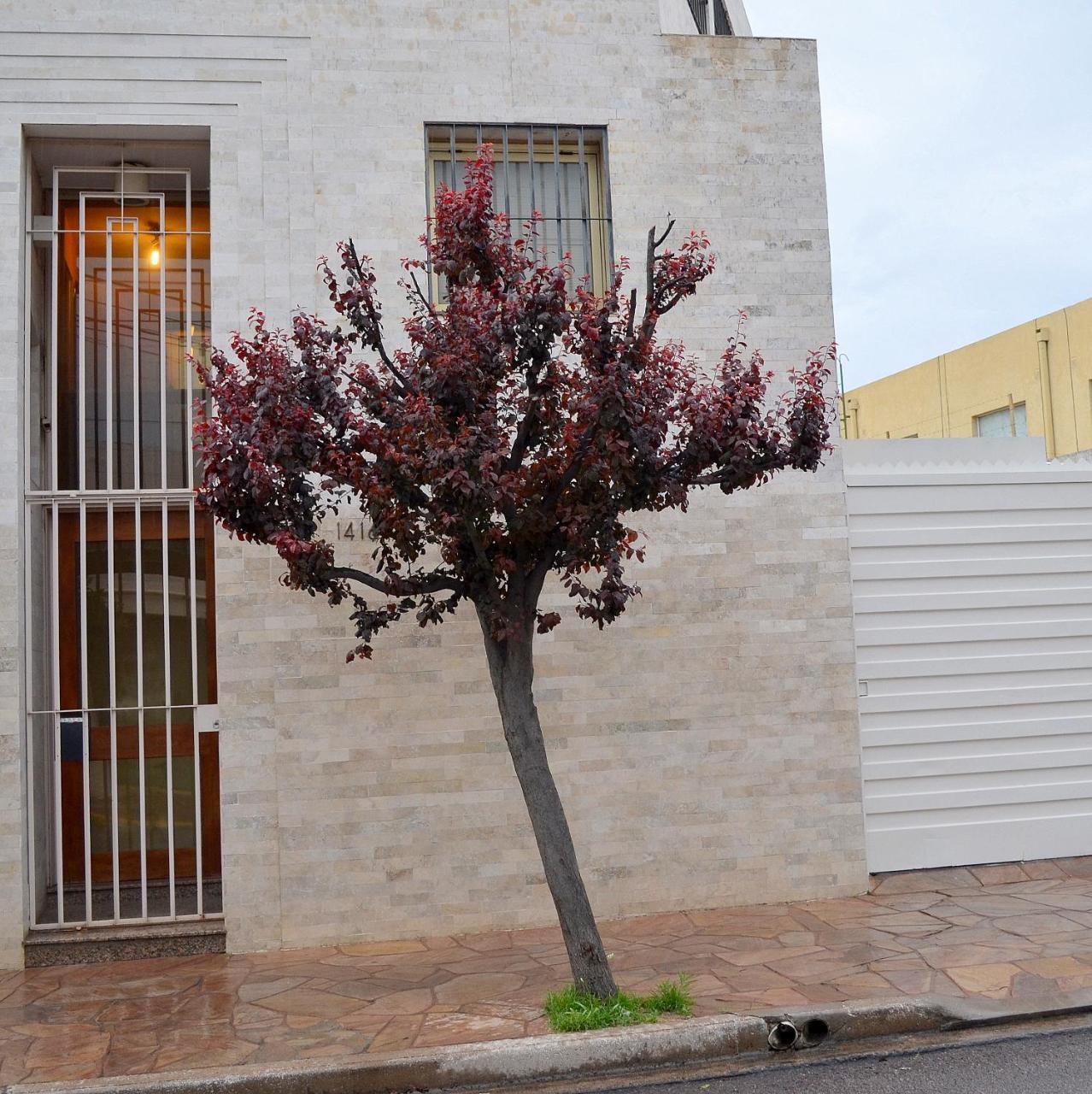 Via Lavalle Suites San Luis Exterior foto